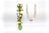 Süßwasser Perlenkette mit güner Perlenquaste "Candy Pearl green"